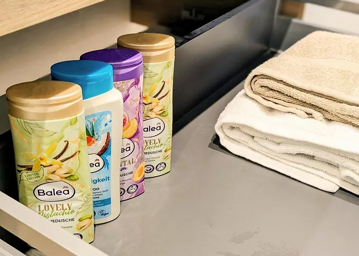 La Parent-aise Appartement Thionville